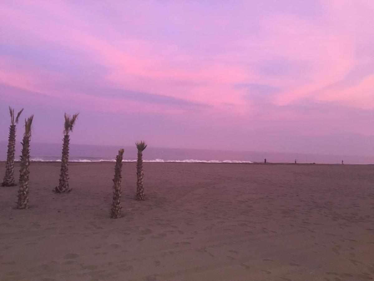 Chicflat San Roque Estepona Reformado En 2025 外观 照片